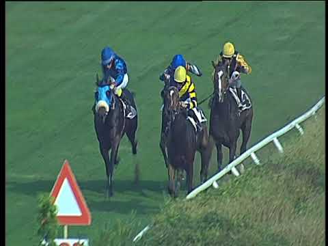 Galoppo 19/10/2017 - 1ª corsa