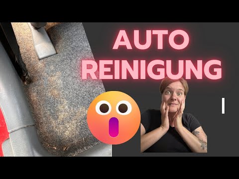 Autoreinigung mit dem Hyla: Gelange ich an meine Grenzen? Krasses Ergebnis!