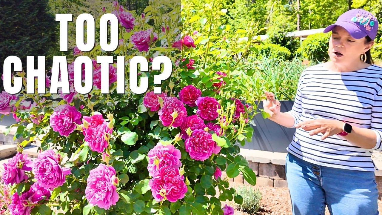 The Secret to a BEAUTIFUL Cottage Garden (Without the Chaos!)