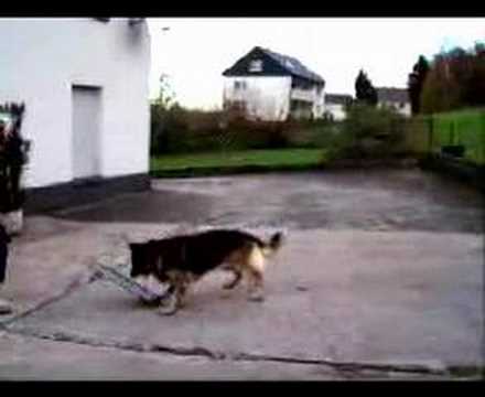 Finta in action part 1