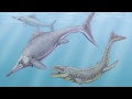 Paleo Log Dakosaurus
