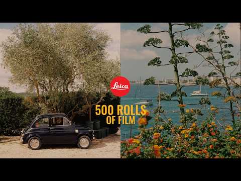 The Sad Truth about the Leica M6