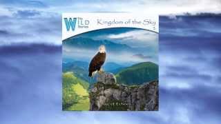 AGE OF ECHOES - ZENITH