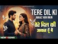 TERI DIL KI AWAAZ HUN MAIN तेरे दिल की आवाज हूँ मैं Song Most 