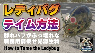【Ark TaeniaStella】レディバグのテイム方法！How to Tame the Ladybug
