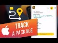 How to Track a Shipment on Your iPhone | How to Track Packages | USPS, UPS, FedEx, DHL & etc.