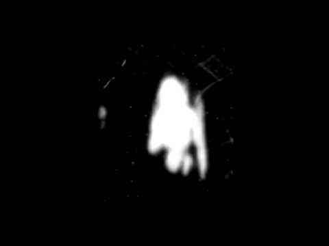 The First American Movie - Monkeyshines, No.1 1890