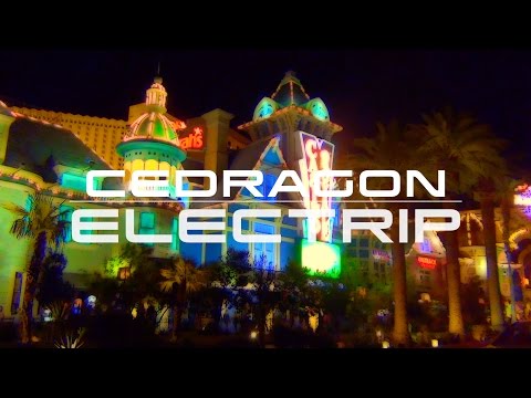 Cedragon - Electrip (Lyric Video)