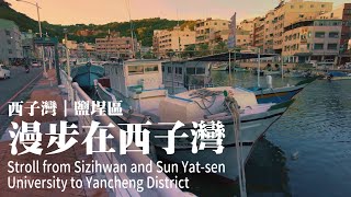 [分享] 我在高雄輕軌內拍攝的影片