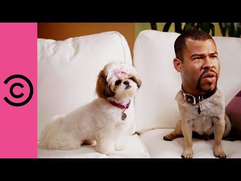 Key & Peele | Ice T's Dog