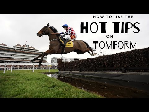 How to use the Hot Tips on TomForm
