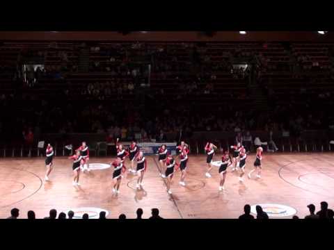 Cheerleader Saarland Hurriflames bei den Harlem Globetrotters