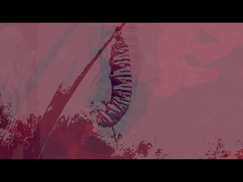 Ôneyra - Metamorphosis [CEILI0.2]