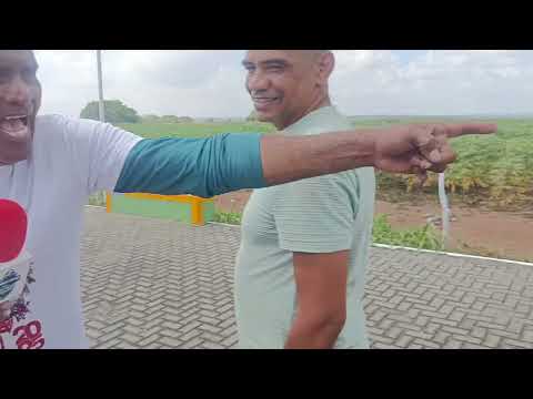 Mostrando o portal q da entrada a são Miguel de itaipu-pb 