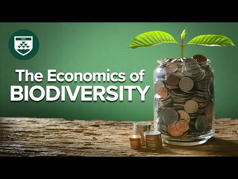 The Economics of Biodiversity