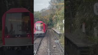 秋の箱根登山鉄道。 #箱根登山鉄道 #鉄道 #旅行