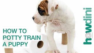 How To Potty Train a Puppy - How to House Train Your Dog