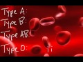 Human Blood Types 