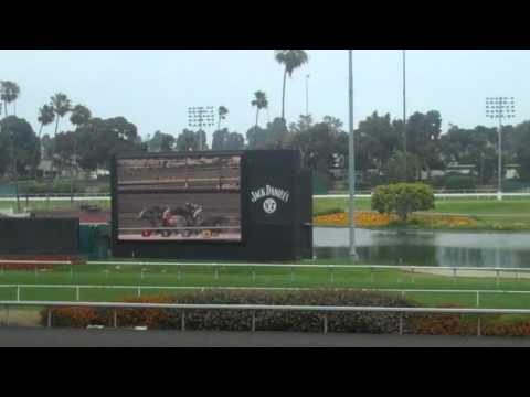 Zenyatta - Vanity Handicap 2010