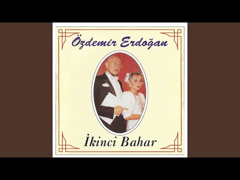 Küçük Bir Aşk Hikayesi - Özdemir Erdoğan
