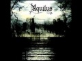 Aquilus - Acila 