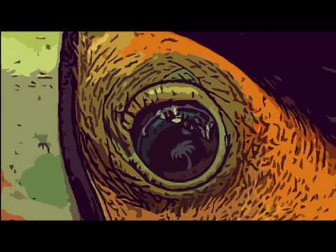 Mister Nils feat Taïro - Viens avec nous (Teaser)