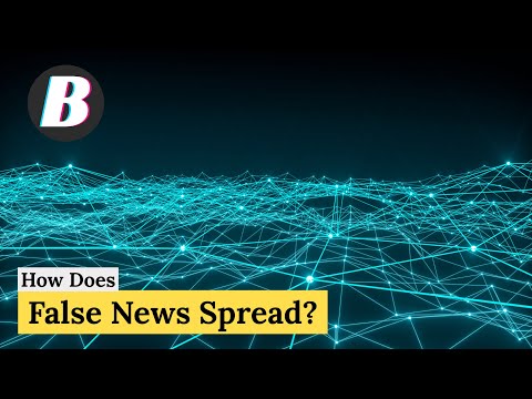 How Does False News Spread
