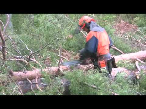 Husqvarna 560 XPG del 1 - YouTube