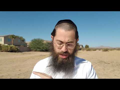 Episode #8 At what stage in life is the best time to move?