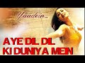 Aye Dil Dil Ki Duniya Mein Image Lyrical Yaadein Hrithik Roshan Kareena Kapoor Sneha Pant KK