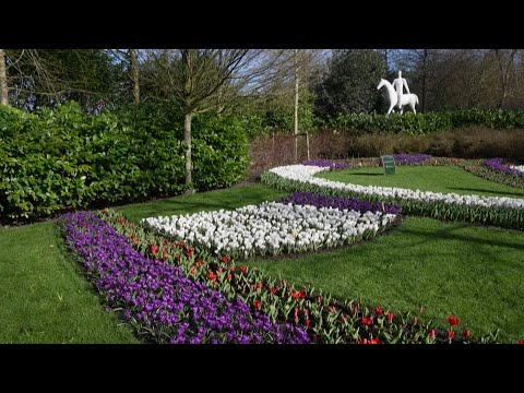 , title : 'أكبر حديقة زهور في العالم تفتح أبوابها للزوار في جنوب هولندا'