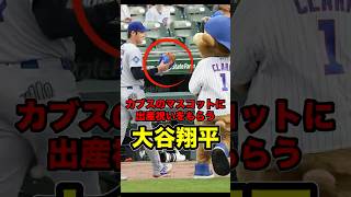大谷翔平、カブスのマスコットに出産祝いをもらう　#大谷 #大谷翔平 #shoheiohtani #shohei #ohtani #ドジャース #カブス #今永昇太 #海外の反応 #dodgers