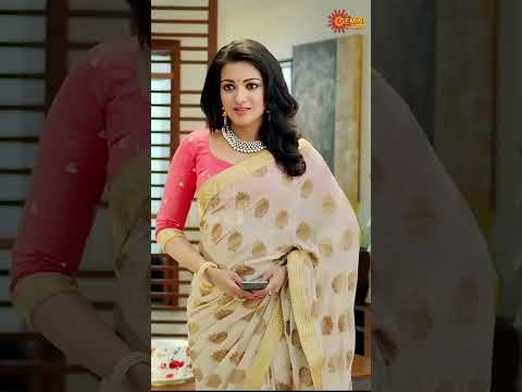 🤣 | Sarrainodu | Allu Arjun | Brahmanandam | Telugu Comedy scene