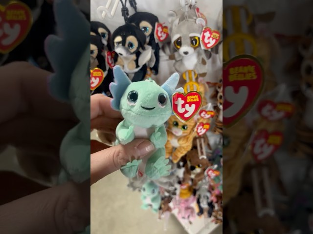 Vídeo relacionado con Ty Beanie Bellies Clips Anillo porta llaves de peluche, Ranger el perrito con los ojos azules brillantes, animales de peluche con el vientre suave, 12 cm T43113