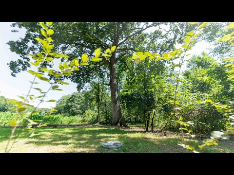 aevum Bestattung im Seelenpark Brunnsee