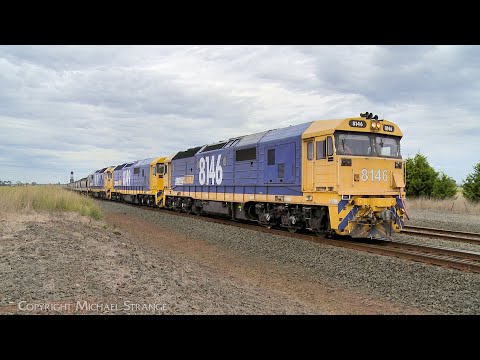 7738V Pacific National Grain Train With 8146 8149 8171 Departs Gheringhap Loop (25/1/2024) - PoathTV
