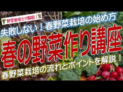 野菜の種まき：春の植え付けに備えて、今すぐ自宅で夏野菜を始めましょう！  庭園