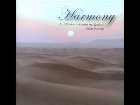 هر دل که با رضای امام آشنا شود - Har Dil Ke Baa Rizaaye Imam - Manqabat by Amin Mawani