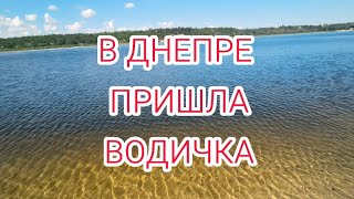 ПОЧЕМУ-ТО В ЗАПОРОЖЬЕ ПРИШЛА ВОДА В РЕКЕ ДНЕПР 26.06.2026