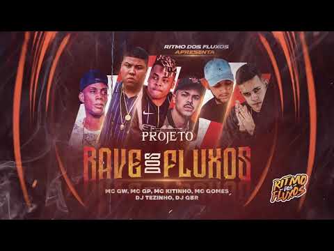 Projeto rave dos fluxos(música)