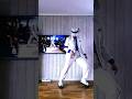 Michael Jackson Smooth Criminal