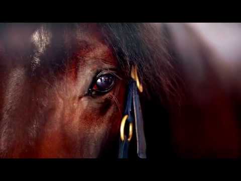 Fourth Dimension efter Chapter Seven - Muscle Hill. 124 sek dec 2018