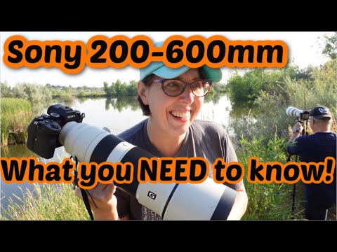 Sony 200-600 mm Objektiv – 8 Dinge, die Sie vor dem Kauf wissen sollten