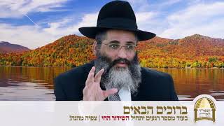 שידור חי | הרב ישראל אברג'ל שליט"א