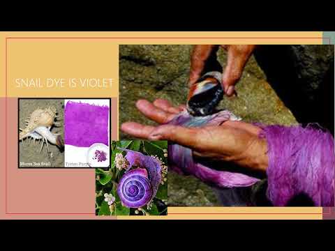 15 Reasons Why Tekhelet תְּכֵלֶת /Thakalath 𐤕𐤊𐤋𐤕 is Violet - Borders on a Hebrew Clothes