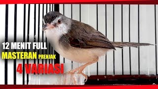 Download lagu 12 MENIT FULL Masteran PRENJAK KLIK dengan 4 VARIASI SUARA mp3 Download lagu 12 MENIT FULL Masteran PRENJAK KLIK dengan 4 VARIASI SUARA mp3