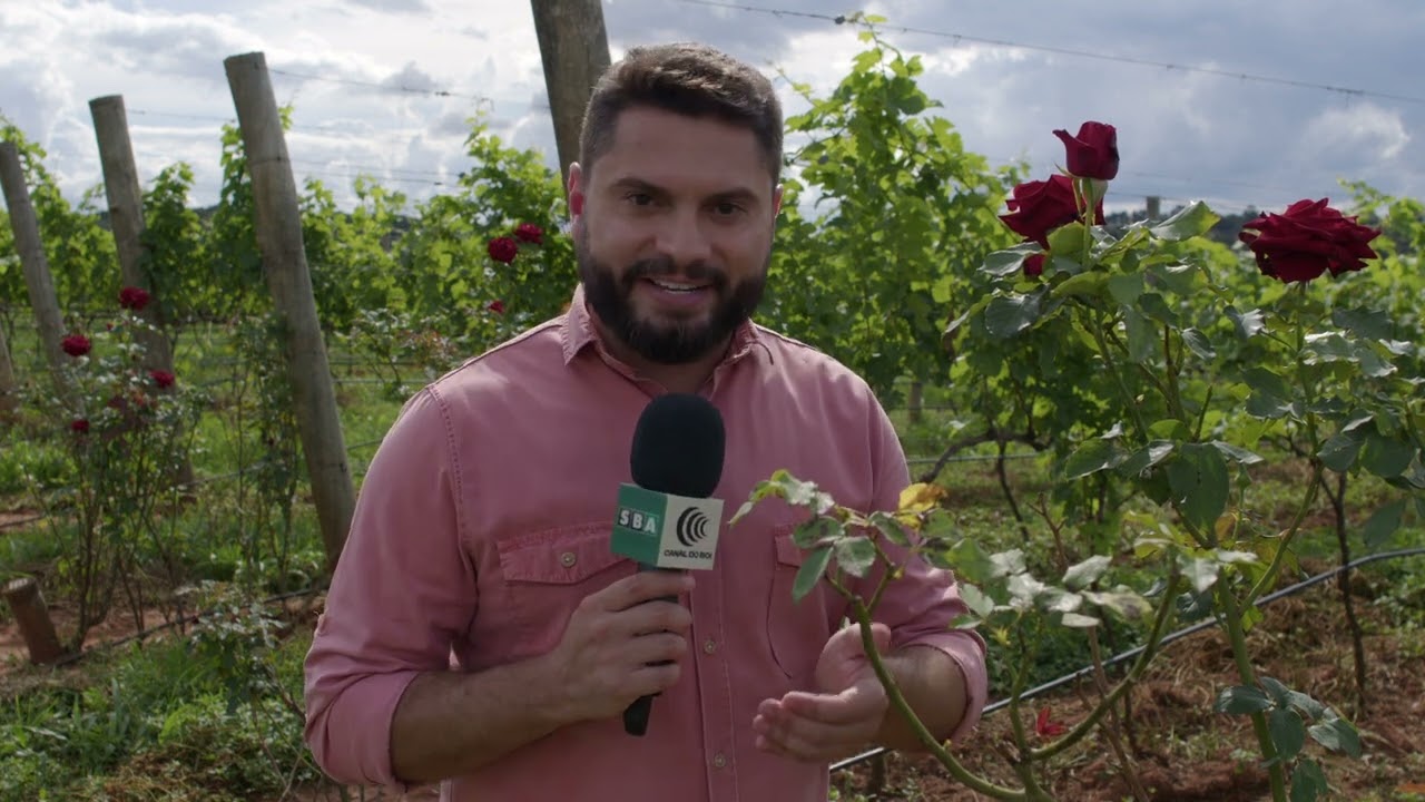 Matéria Canal do Boi - PRODUÇÃO DE UVA E VINHO NO CERRADO MINEIRO