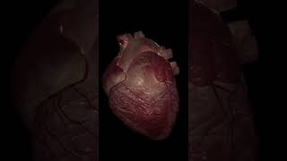 Download lagu jantung berdebar #shorts mp3