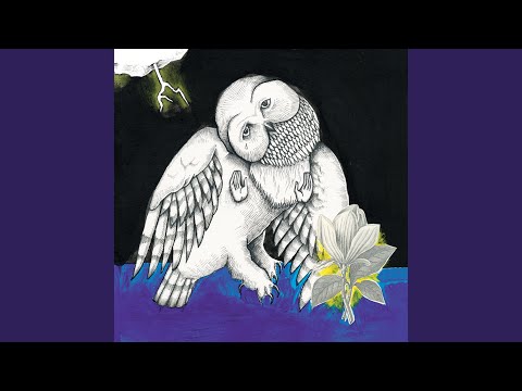 John Henry Split My Heart - Songs: Ohia