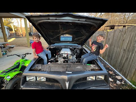 HOLLEY EFI Terminator X finally ARRIVES !! 700 Hp 1978 Trans Am Screaming Chicken LSX concepts LSA